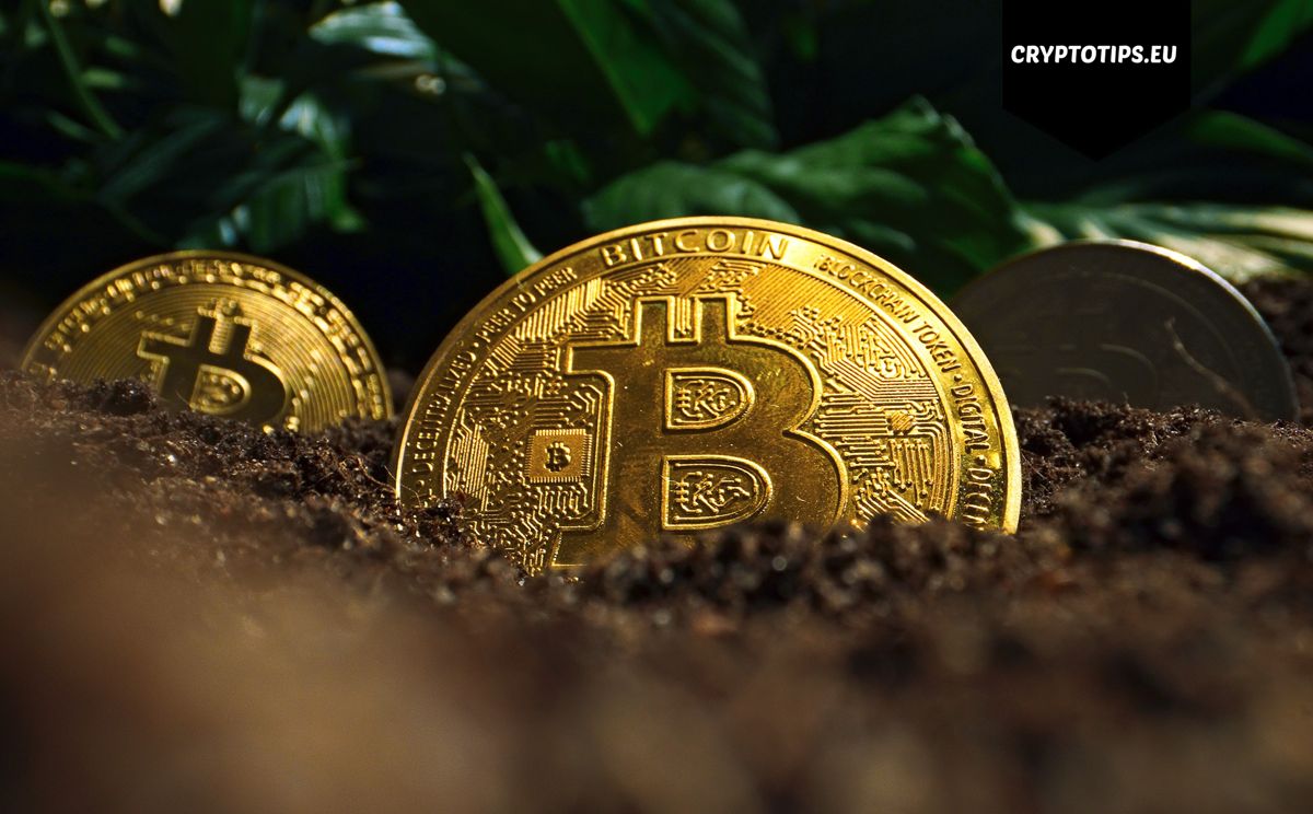 Leveraged trading kwam heel wat crypto beleggers duur te staan in November