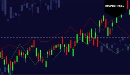 4000% winst op één week tijd. Rave maakt zich klaar voor retail FOMO (en een crash)