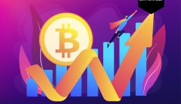 Bullish Bitcoin signaal. Whales koopgolf grootste sinds 2013