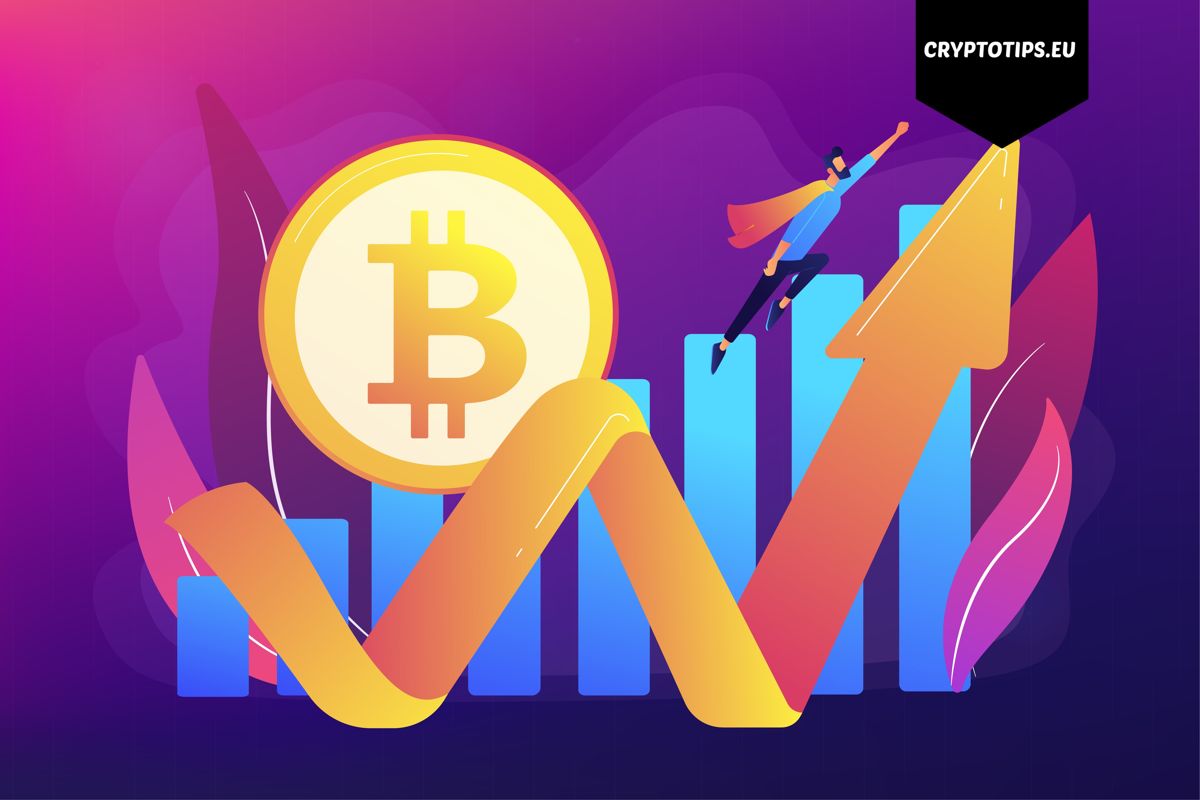 Bullish Bitcoin signaal. Whales koopgolf grootste sinds 2013